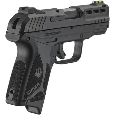 ruger security 380 3839