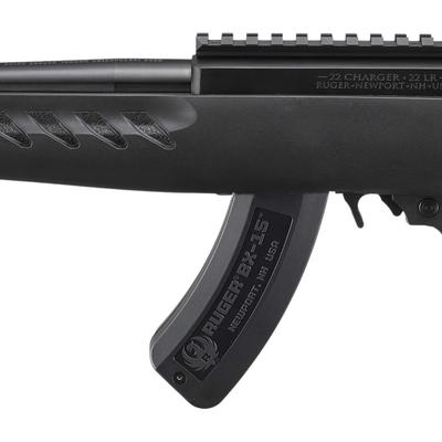 ruger 22 charger 4938