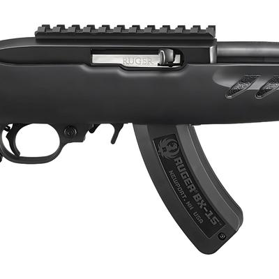 ruger 22 charger 4938
