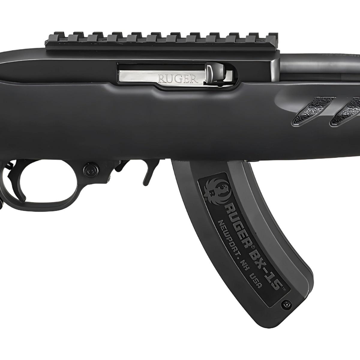 ruger 22 charger 4938