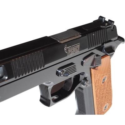 pardini gt9 1 6