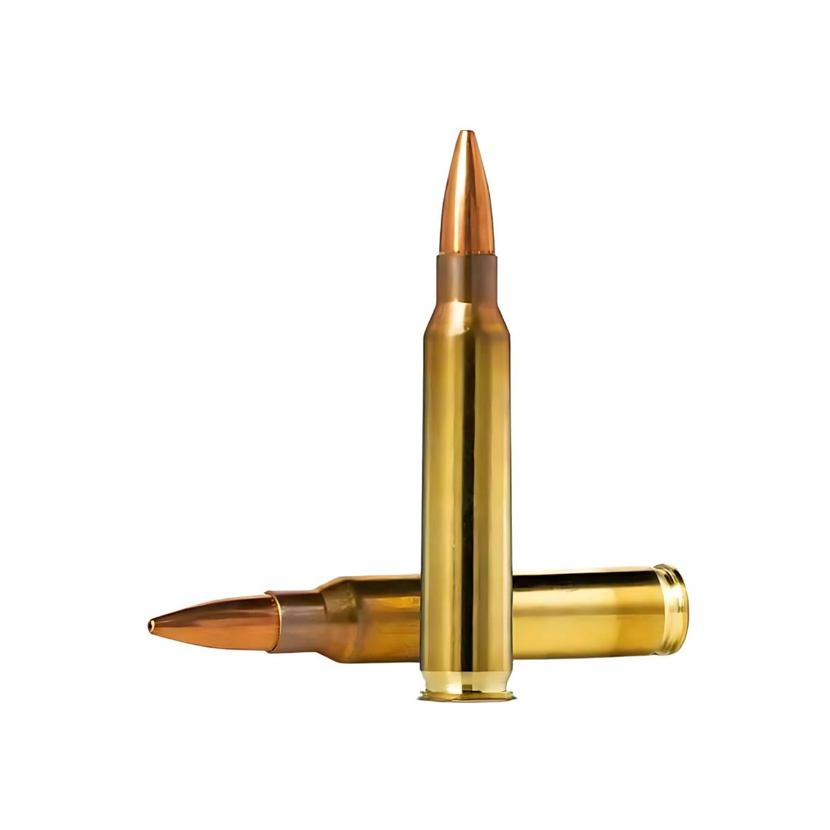 norma fmj range training 223 rem 55gr 3 6g