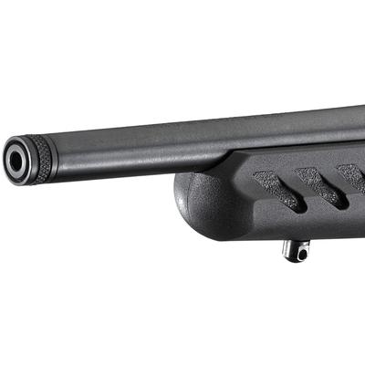 ruger 22 charger 4923