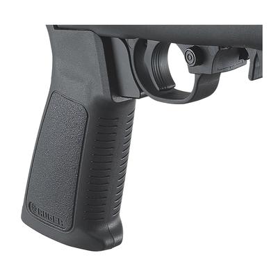 ruger 22 charger 4923