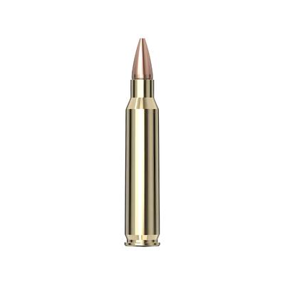 223 rem hornady hp american gunner 55gr 80237