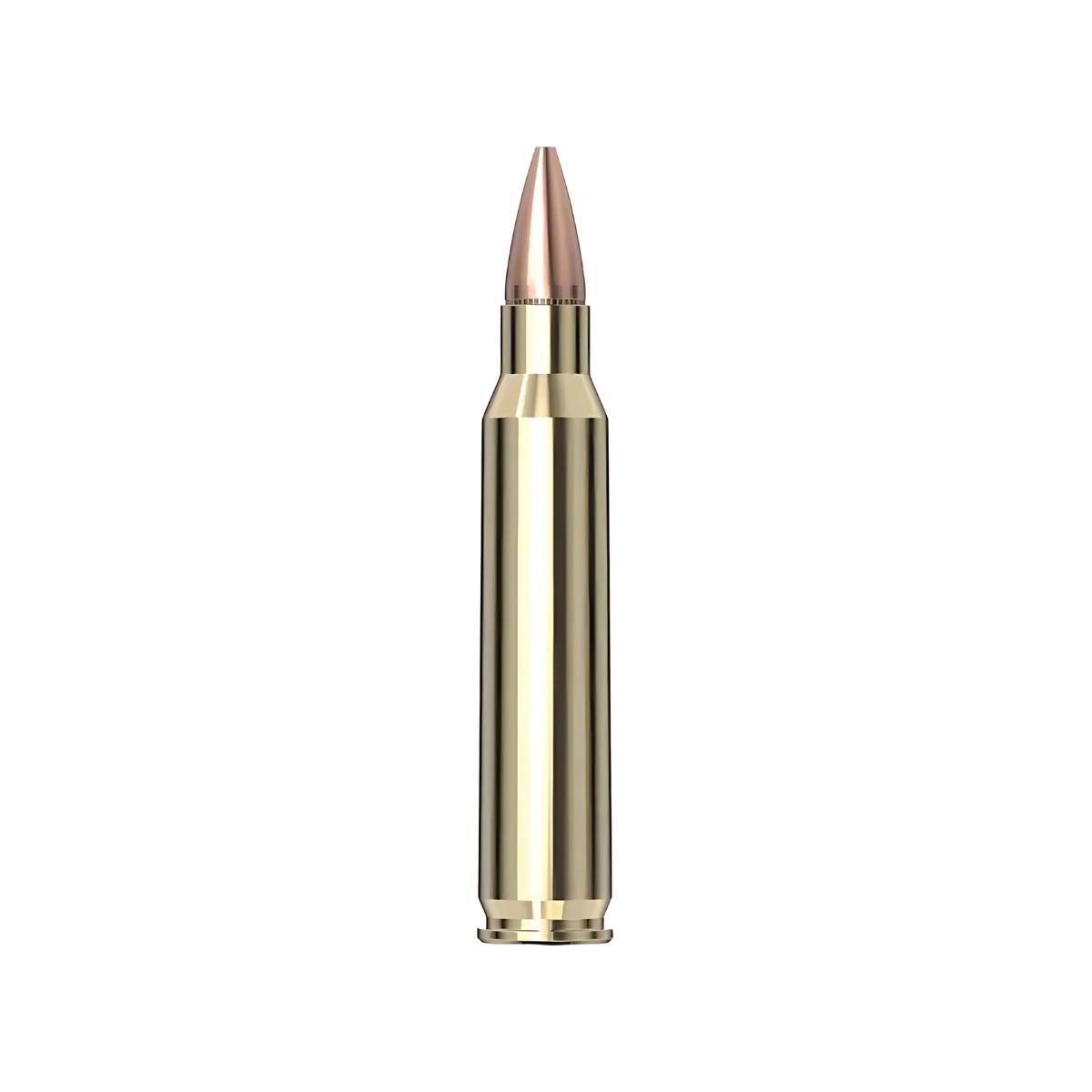 223 rem hornady hp american gunner 55gr 80237