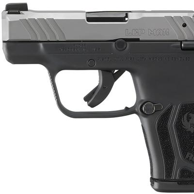 ruger lcp max stainless 13744