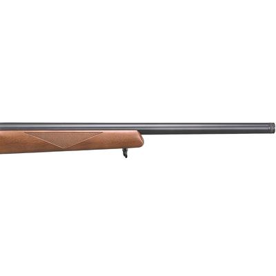 ruger 10 22 sporter 31166