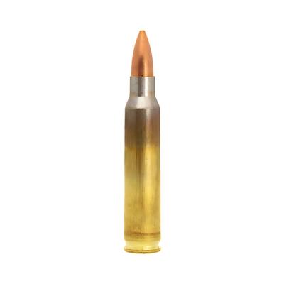 lapua fmj 223rem 3 6g 55gr