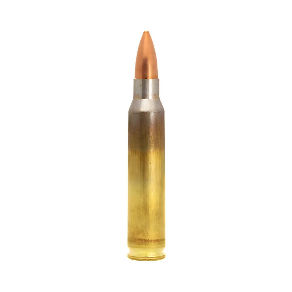 223 rem lapua fmj 55gr 3 6g