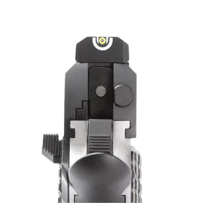 springfield emissary 45acp 8rd