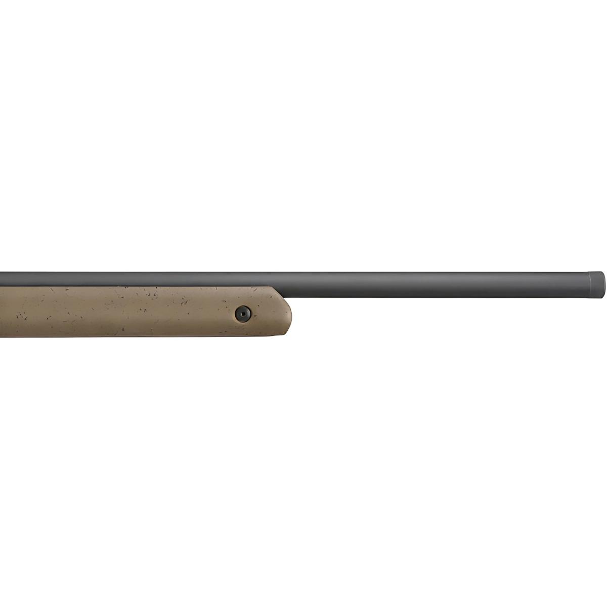 ruger american rimfire long range target 8378