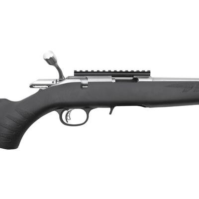 ruger american rimfire standard stainless 8351