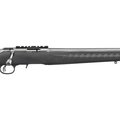 ruger american rimfire standard stainless 8351