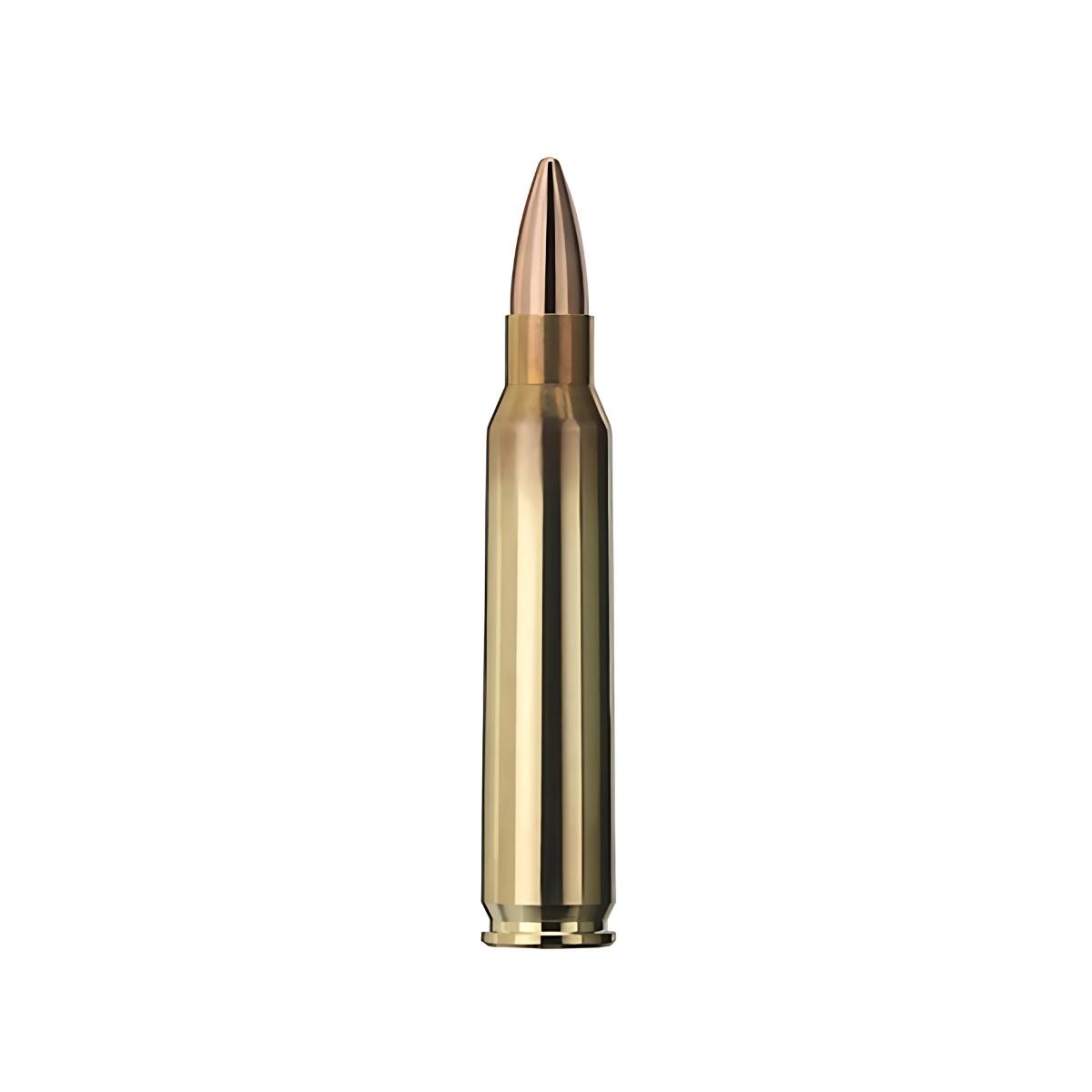 geco 223rem fmj 63gr vm