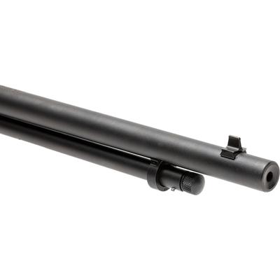 savage revel classic 22 lr