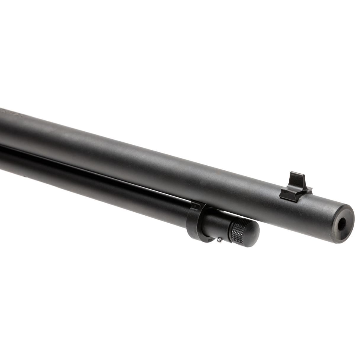 savage revel classic 22 lr