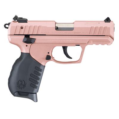 Ruger SR22 (3647)