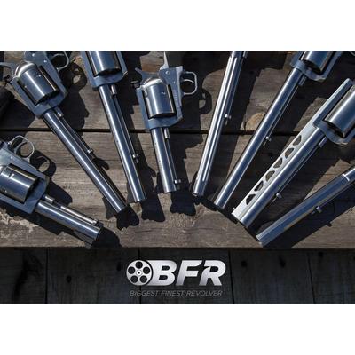 bfr long 10 45 70 dod beben 450