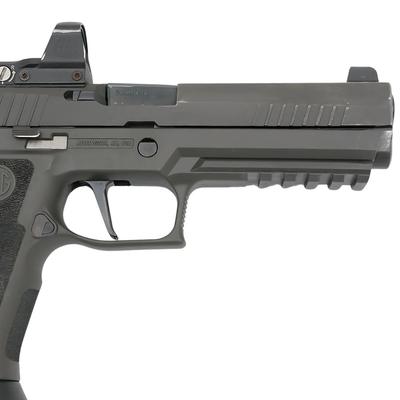 sig sauer xfive legion leupold delta point pro grayguns