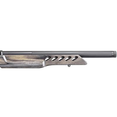 ruger 10 22 target 21186