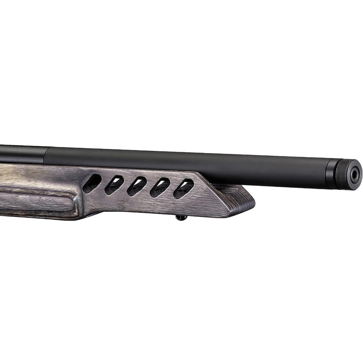 ruger 10 22 target 21186
