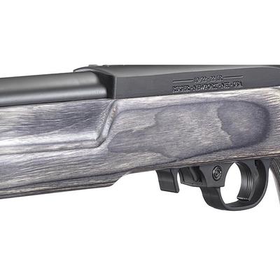 ruger 10 22 target 21186