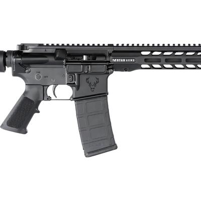 stag arms 15 classic 16