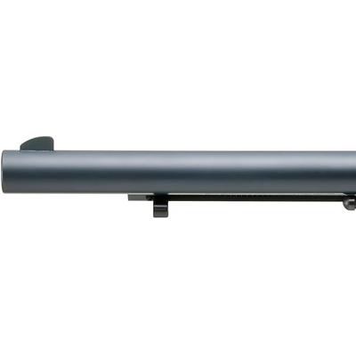 ruger wrangler 6 5 22lr 2050