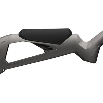 winchester xpert varmint 22
