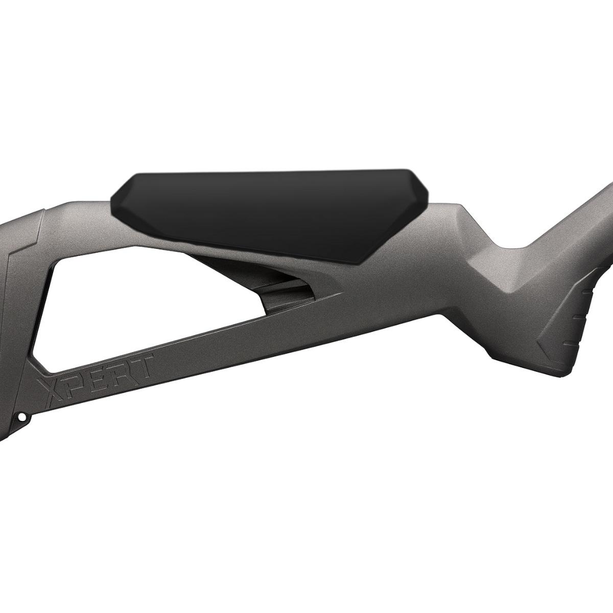 winchester xpert varmint 22