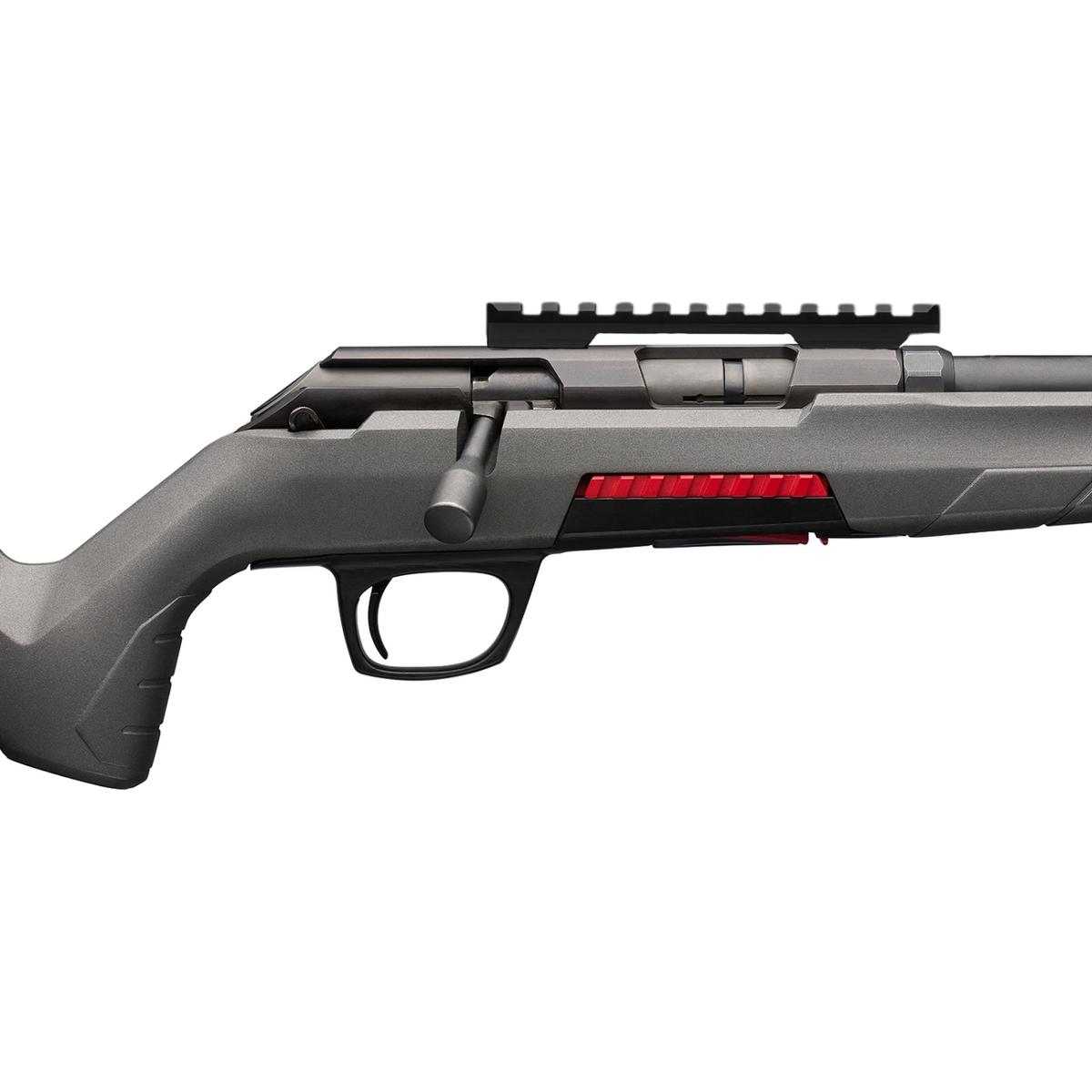 winchester xpert varmint 22