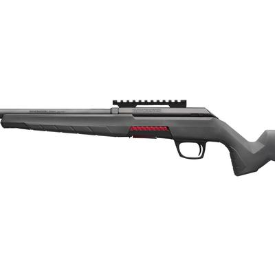 winchester xpert varmint 22