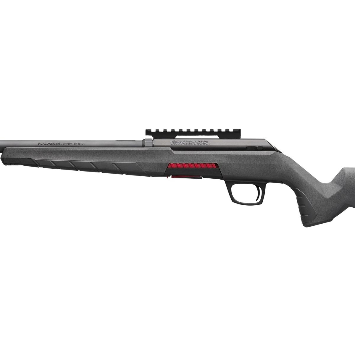 winchester xpert varmint 22