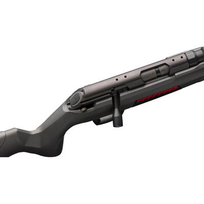 winchester xpert varmint 22