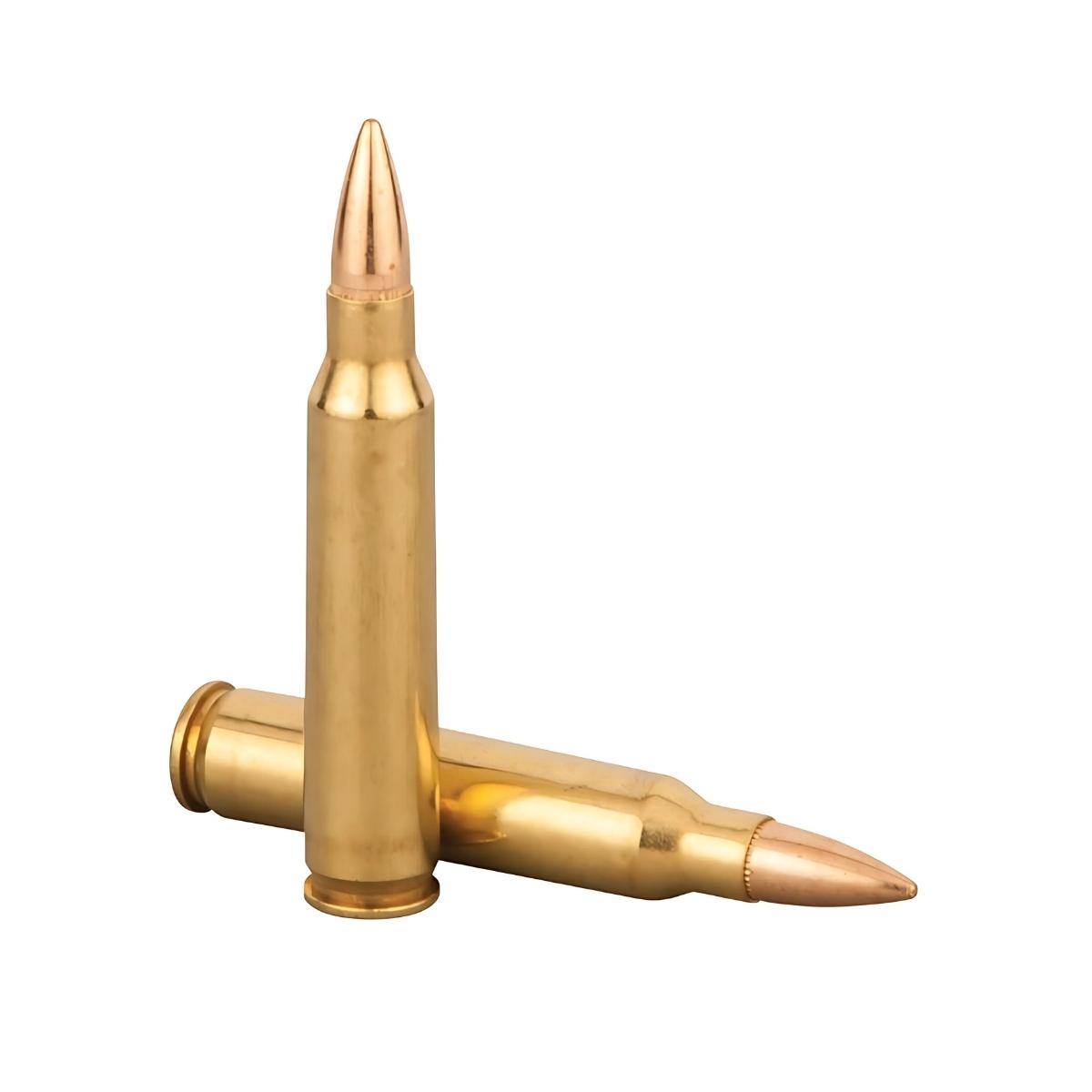 federal 223 rem american eagle fmjbt 62gr