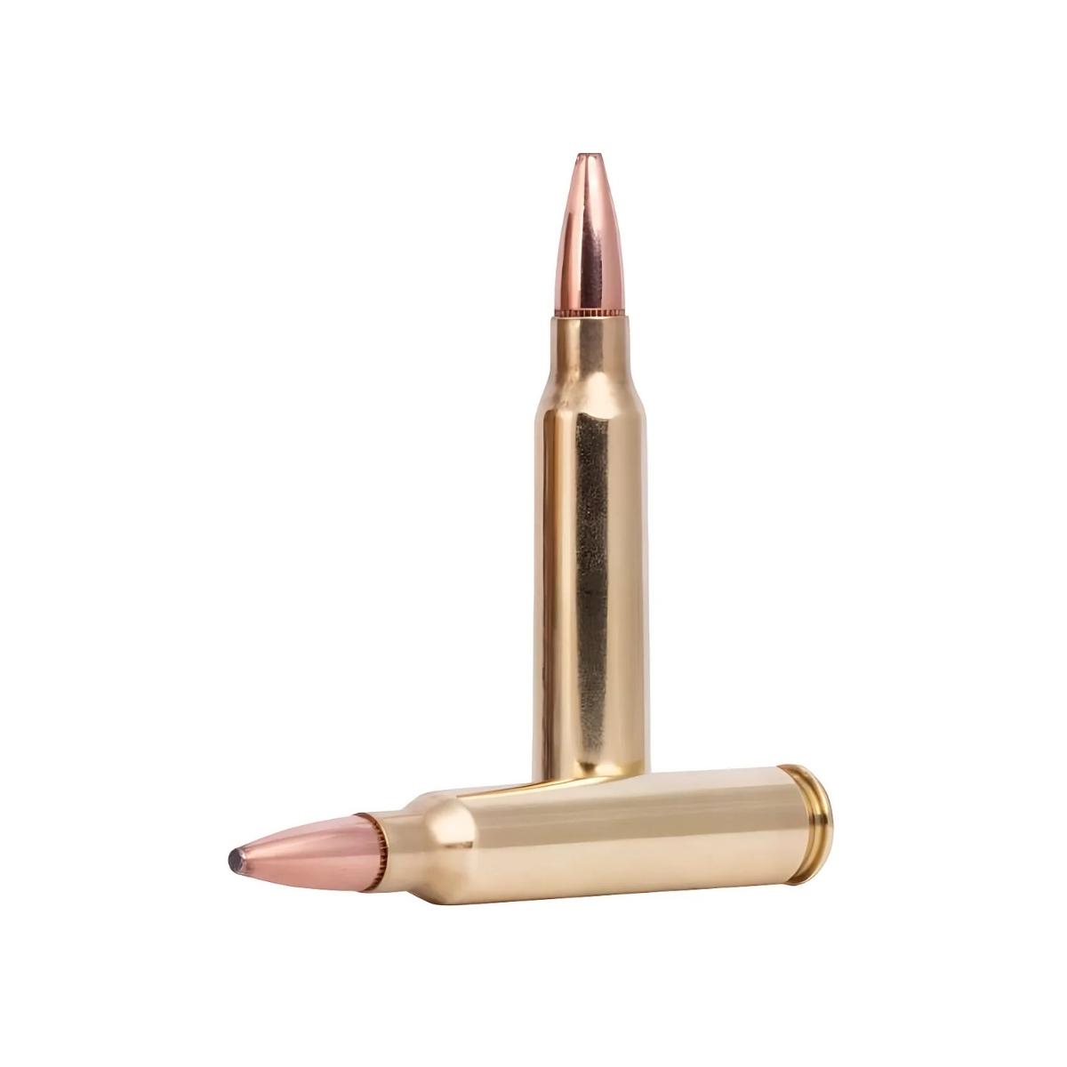 federal 223 rem fusion sp 62gr
