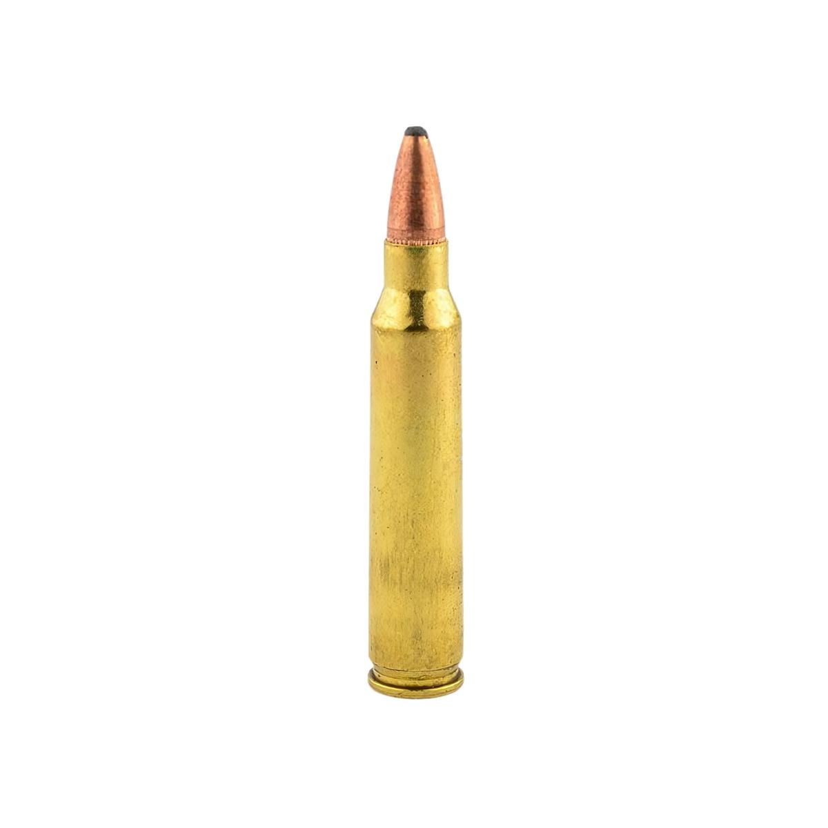 federal 223 rem sp 55gr