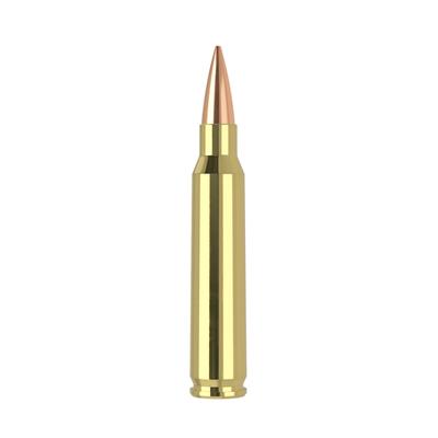 amunicja 223 rem nosler hpbt rdf 70gr 60130 op 20szt