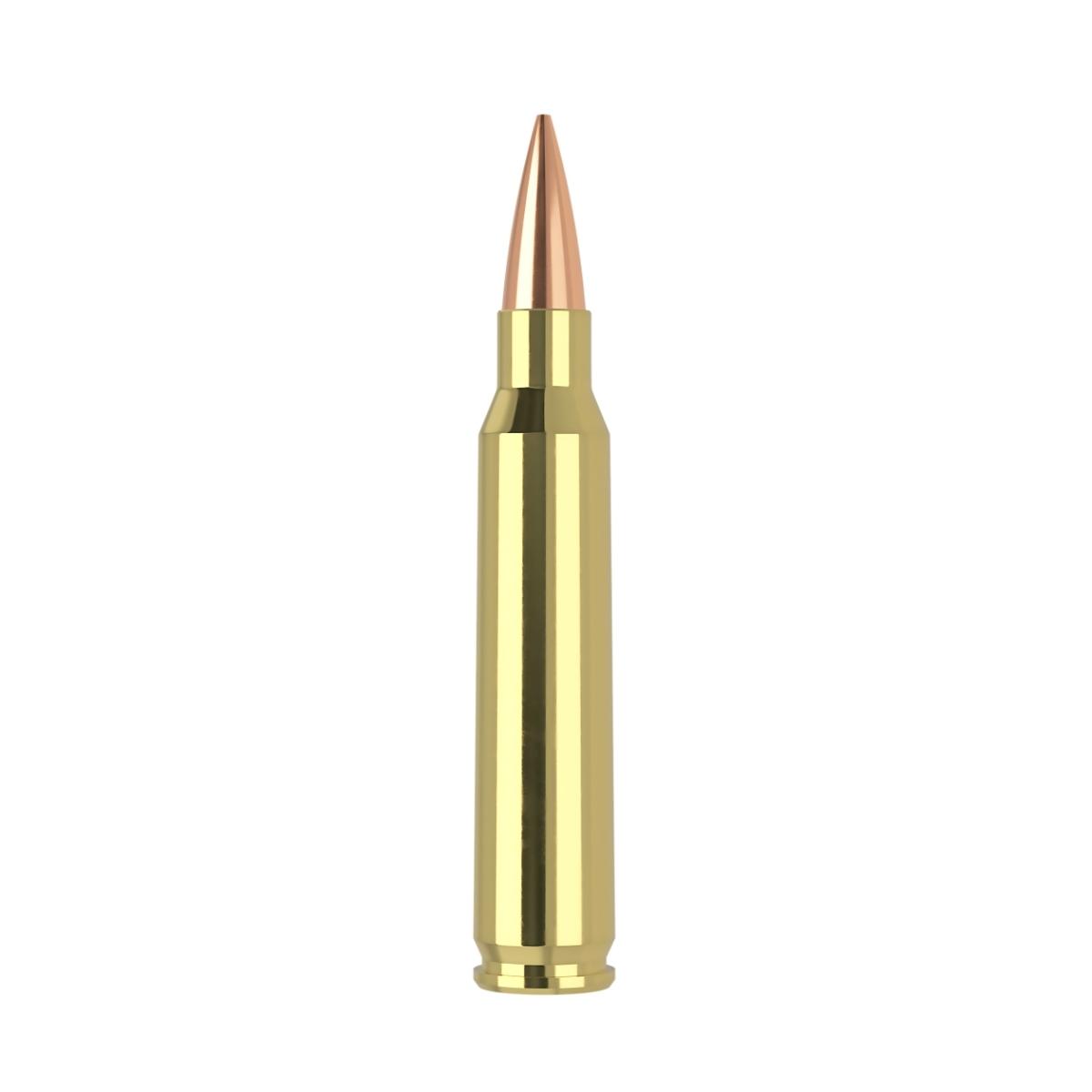amunicja 223 rem nosler hpbt rdf 70gr 60130 op 20szt