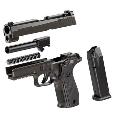 sig sauer p226 x legion sao