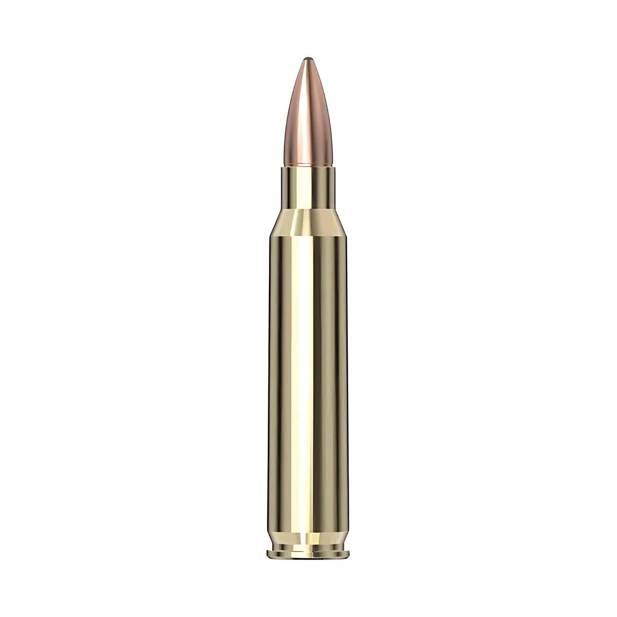 223 rem swiss p fmj ds 1 55gr