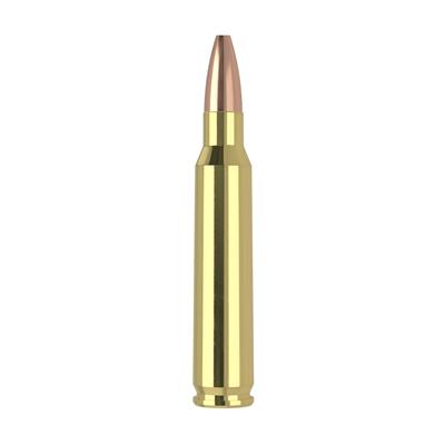 amunicja 223 rem nosler varmageddon hp 62gr 40223 op 20szt
