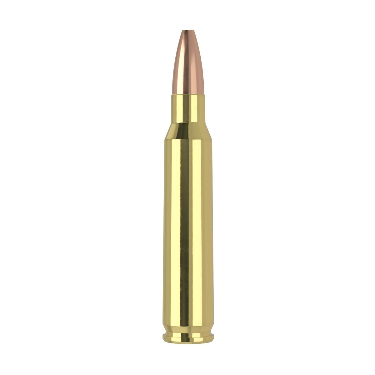 nosler 223 rem varmageddon hp 62gr 40223