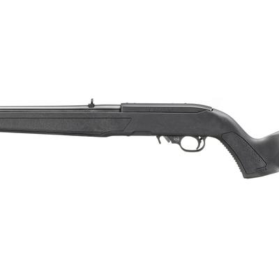 ruger 10 22 lightweight 16 4 32000