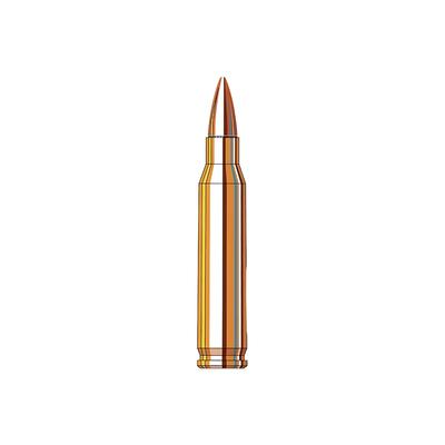 223 rem hornady fmj frontier 55gr fr100 cena promocyjna