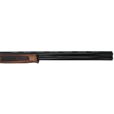 bok eternal poseidon tempered