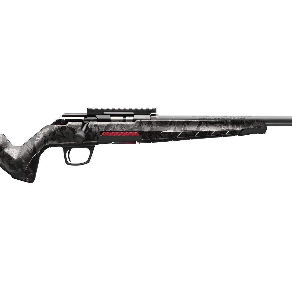 winchester xpert carbon varmint 22