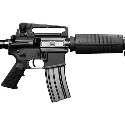 bushmaster m4 patrolman s ambi w carry handle 11 5