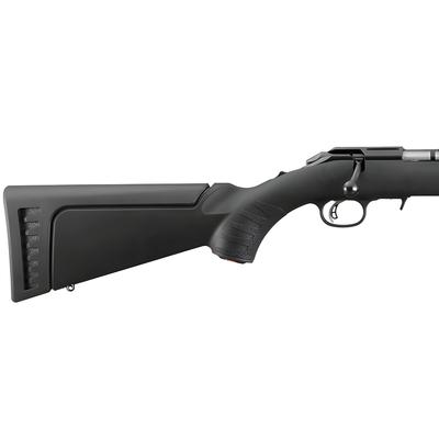 ruger american rimfire standard 22 8301